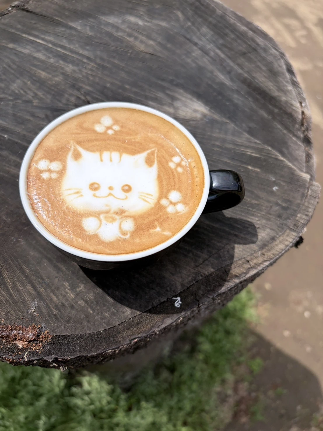 猫のラテアート
