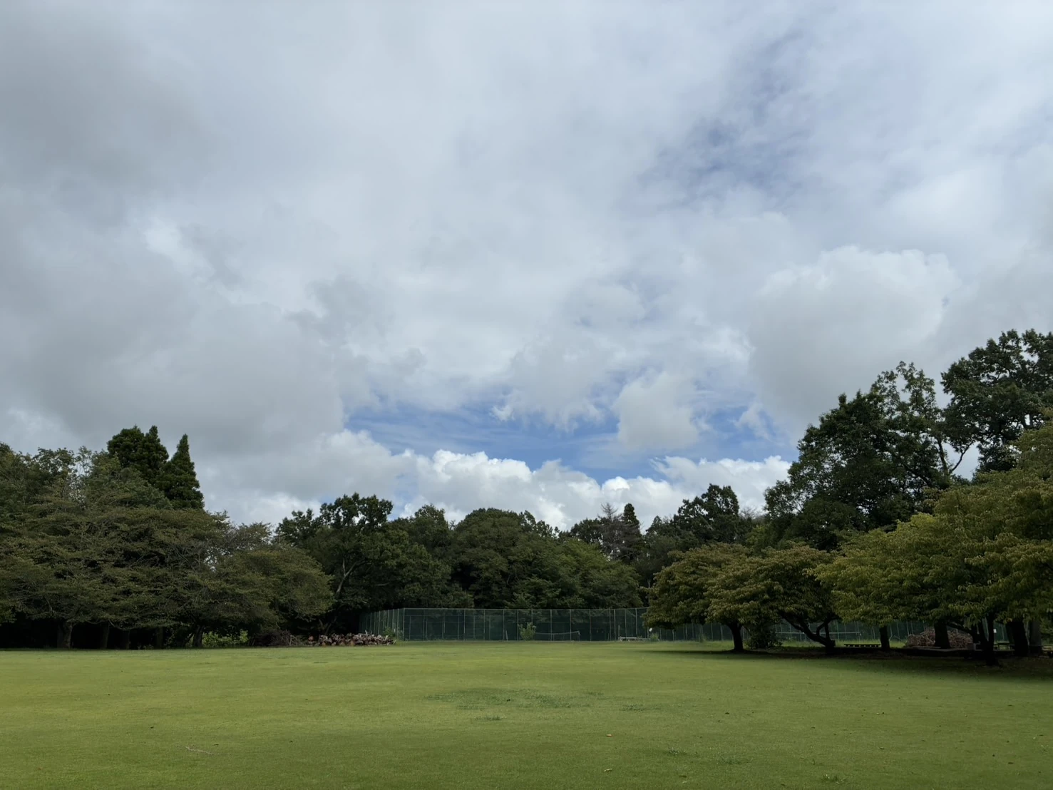散歩コース